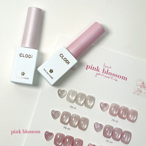 【CLODI】Pink Blossom Magnetic Gel 6 Colors Collection