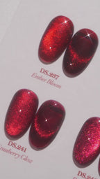 【NAIL DAIRY先生のセミナー使用 / DGEL】DGEL Signature Redwish Collection